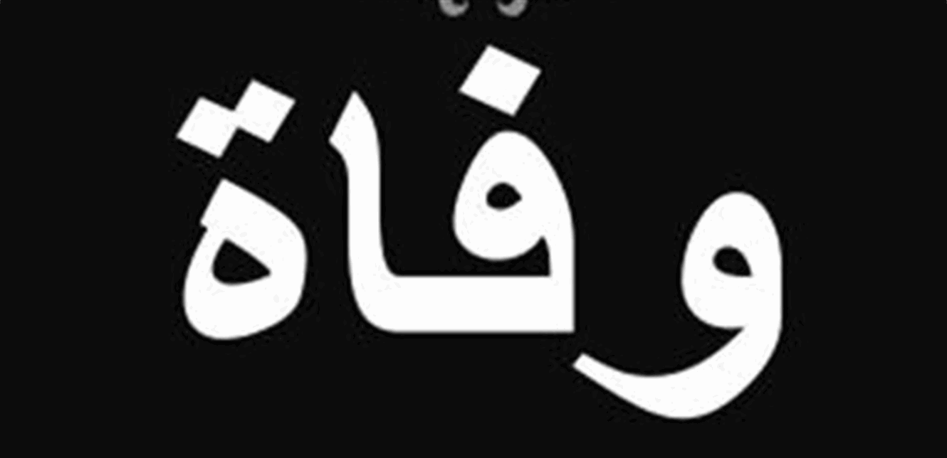 Doc-P-1371342-638848091131018247.png