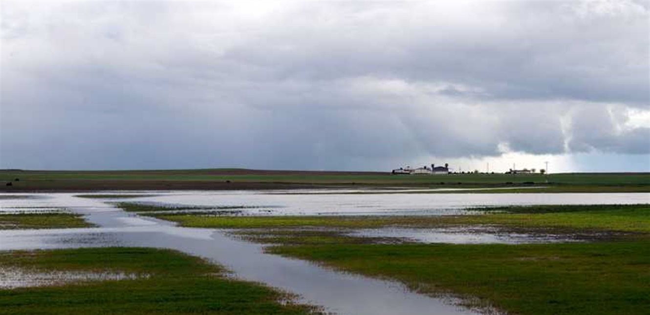 Doc-P-1390851-638880445156183927.jpg
