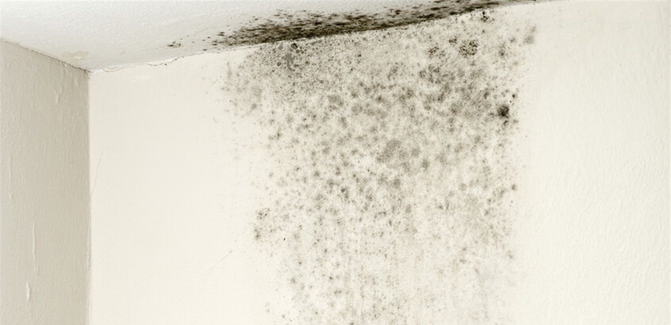 Doc-P-1372915-638851456681416851.jpg