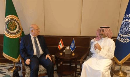 وزير العمل من القاهرة: دعم منظمة العمل العربية مطلوب لتنفيذ خطة الإصلاح 