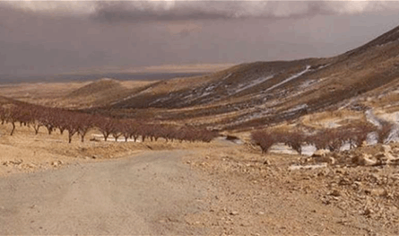 بالفيديو.. العثور على مقبرة جماعية في عرسال