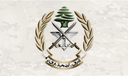 الجيش: توقيف شخصَين لارتكابهما جرائم مختلفة