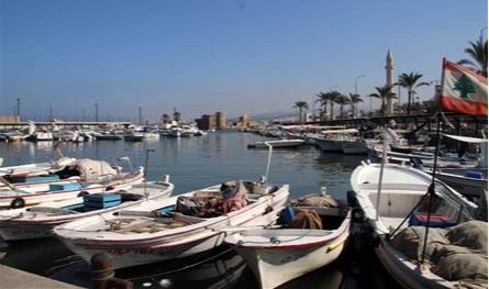 وزارة الزراعة تطلق ورشة وطنية لحماية الثروة السمكية وتنظيم الصيد البحري