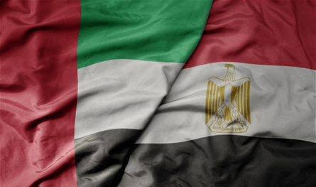 منتج واحد يستحوذ على 60% من صادرات مصر للإمارات... ما هو؟