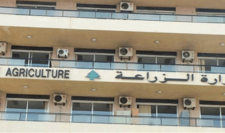 في 100 يوم.. هذا ما فعلته وزارة الزراعة