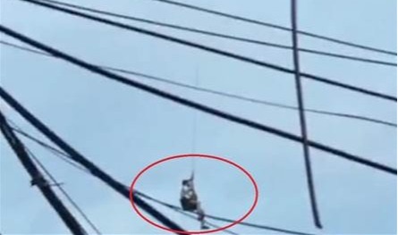 بالفيديو: مسيّرة تنقذ شابا من فوق سطح منزله وسط فيضانات جارفة