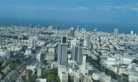 بسبب &quot;الذباب المصري&quot;.. حالة من الرعب داخل إسرائيل ونداءات عاجلة (صور)