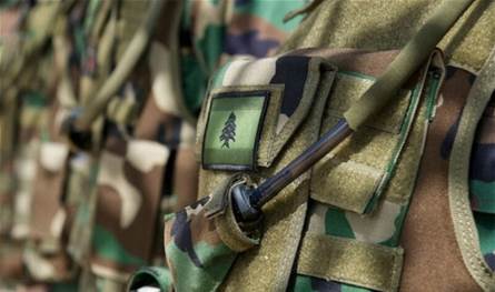 بالصور... الجيش يوقف 33 سوريًا دخلوا بطريقة غير شرعية إلى لبنان