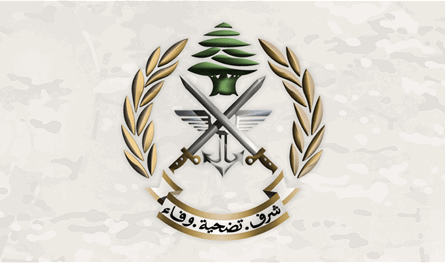 في هذه المناطق.. الجيش يوقف مطلوبين بتهم خطف وإطلاق نار
