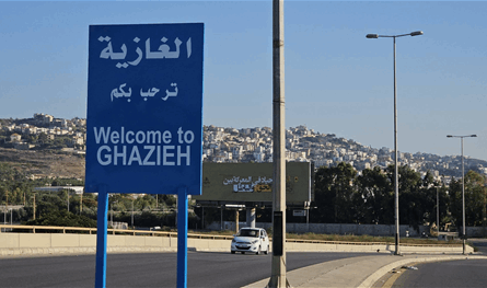 مداهمات للقوى الأمنية في الغازية.. وتوقيف 4 أشخاص (فيديو)