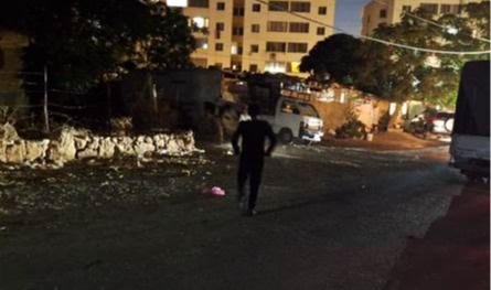في طرابلس.. تسطير محاضر ضبط بحق أصحاب أبقار شاردة 